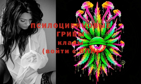 не бодяженный Белокуриха