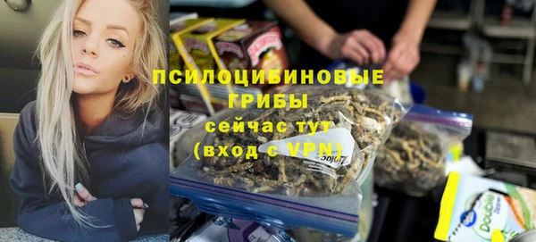 не бодяженный Белокуриха
