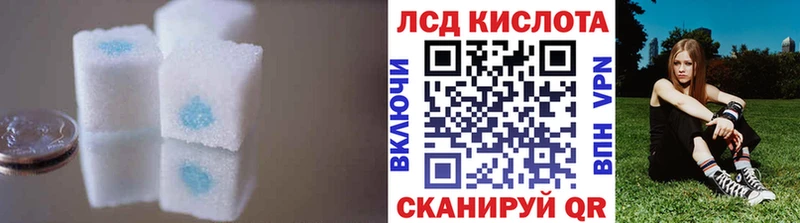 продажа наркотиков  kraken ССЫЛКА  ЛСД экстази ecstasy  Городовиковск 