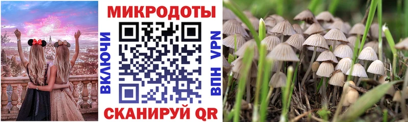 Галлюциногенные грибы ЛСД  Городовиковск 